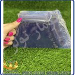 لیسه پلاستیکی ابی لیون